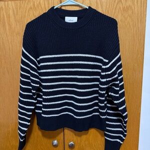 Aritzia navy & White Striped Crewneck Sweater